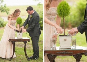 tree planting